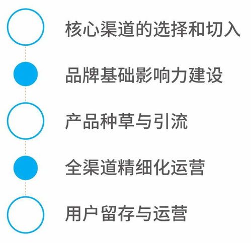 好產品互聯網營銷攻略 從品質到流量的全方位打法